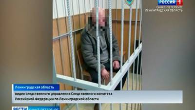 Подозреваемый в жестоком убийстве из Мурино останется под арестом - vesti.ru - Москва - Ленинградская обл. - Санкт-Петербург - Мурино