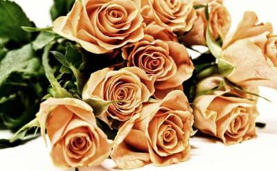 Валентин СВЯТОЙ (Святой) - Названы самые дорогие цветы мира - lenta.ua