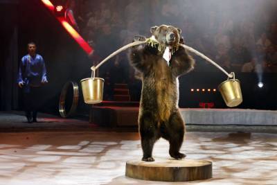 Аскольд Запашный - Аскольд Запашный рассказал о запрете цирка с животными и гастролях во время пандемии - riafan.ru
