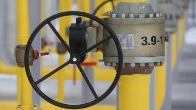 Игорь Ананских - Германия в феврале увеличила закупку российского газа на 47,8% - iz.ru