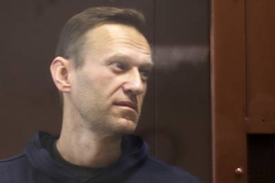 Алексей Навальный - Ольга Михайлова - Назначена дата рассмотрения жалобы Навального на замену условного срока реальным - lenta.ru - Москва