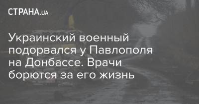 Владимир Зеленский - Украинский военный подорвался у Павлополя на Донбассе. Врачи борются за его жизнь - strana.ua - Донбасс