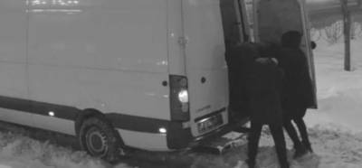Лев Толстой - В центре Киева украли "льва" (ВИДЕО) - lenta.ua - Киев