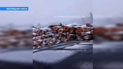В Башкирии приостановили вырубку на Инзерских зубчатках - bash.news - Башкирия