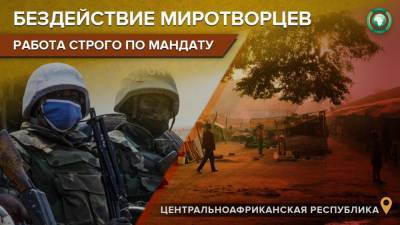 Представитель миссии ООН в ЦАР объяснил бездействие миротворцев в борьбе с боевиками - riafan.ru - Минуск