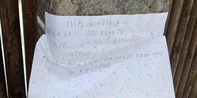 «Стать известной за ночь непросто». Журналисты пообщались с мамой девочки, чей канал прославился благодаря объявлению на столбе - nv.ua