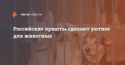 Российские приюты сделают уютнее для животных - ren.tv - Россия