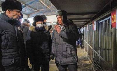Депутаты гордумы остались довольны условиями содержания безнадзорных животных в тюменском приюте - news.megatyumen.ru - Тюмень