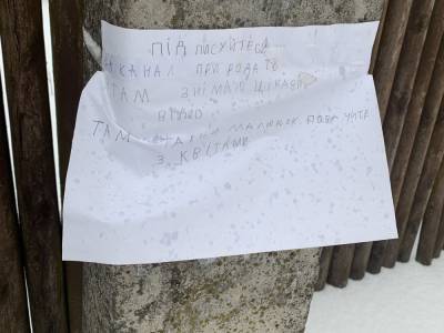YouTube-канал девочки из села во Львовской области стал популярным после написанного от руки объявления на столпе. Теперь там 29 тыс. подписчиков - gordonua.com - Львовская обл. - Twitter
