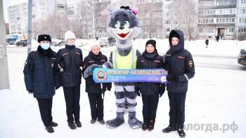 Котик помог вологодским полицейским провести акцию - vologda-poisk.ru - Вологда