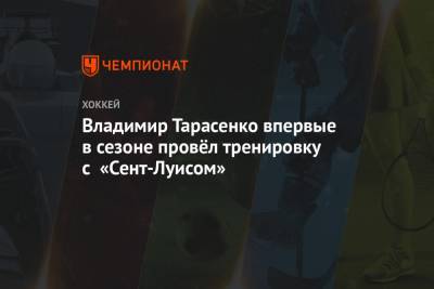 Владимир Тарасенко - Владимир Тарасенко впервые в сезоне провёл тренировку с «Сент-Луисом» - championat.com