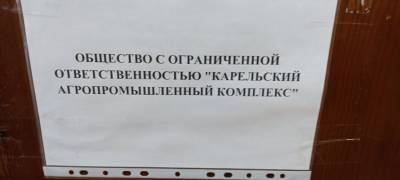 Подозреваемый в мошенничестве резидент ТОСЭР в Карелии отказался от комментариев - stolicaonego.ru - Белоруссия - республика Карелия