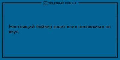 Анекдоты на день 13 февраля, которые поднимут вам настроение - ТЕЛЕГРАФ - telegraf.com.ua