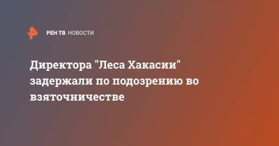 Андрей Васильев - Директора "Леса Хакасии" задержали по подозрению во взяточничестве - ren.tv - Красноярский край - респ. Хакасия