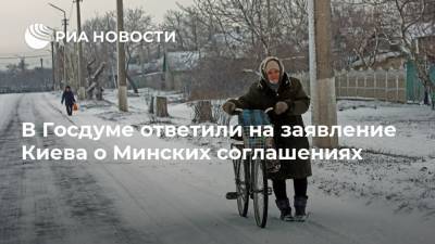 Мария Захарова - Руслан Бальбек - Андрей Ермак - В Госдуме ответили на заявление Киева о Минских соглашениях - ria.ru - Москва - Россия - Киев
