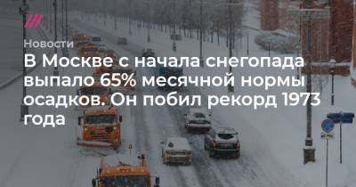 Петр Бирюков - В Москве с начала снегопада выпало 65% месячной нормы осадков. Он побил рекорд 1973 года - tvrain.ru - Москва