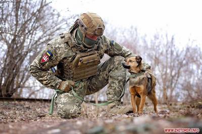 Украинские военные снялись в фотосессии с бездомными животными: трогательные кадры - 24tv.ua - Новости