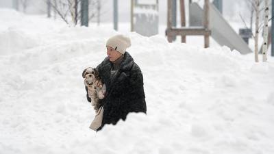 Михаил Леус - Синоптики спрогнозировали рекордную высоту сугробов в Москве - iz.ru - Москва - Московская обл.