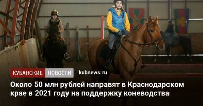 Вениамин Кондратьев - Андрей Коробка - Около 50 млн рублей направят в Краснодарском крае в 2021 году на поддержку коневодства - kubnews.ru - Краснодарский край