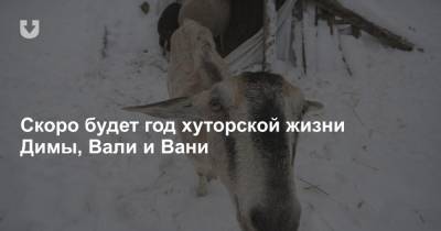 Я живу на хуторе. Как семья на Брестчине завела видеоблог о простой жизни на селе — и нашла 100 тысяч друзей - news.tut.by - Брест