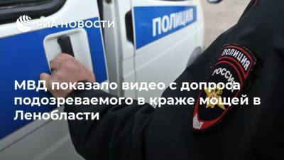 МВД показало видео с допроса подозреваемого в краже мощей в Ленобласти - ria.ru - Москва - Ленинградская обл.