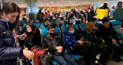 В Домодедово предупредили о возможных задержках рейсов из-за снегопада - m24.ru - Москва