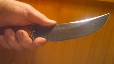Зарезавший педагога в Воронеже мужчина подозревается в убийстве семейной пары - nation-news.ru - Воронеж - Луганск