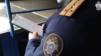 После ЧП в брянском ледовом дворце возбуждено уголовное дело - vesti.ru - Брянск