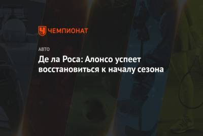 Фернандо Алонсо - Де ла Роса: Алонсо успеет восстановиться к началу сезона - championat.com