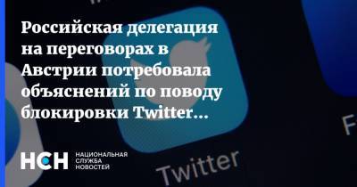 Хельга Шмид - Константин Гаврилов - Российская делегация на переговорах в Австрии потребовала объяснений по поводу блокировки Twitter-аккаунта - nsn.fm - Австрия - Россия - Twitter