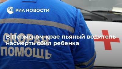 В Пермском крае пьяный водитель насмерть сбил ребенка - ria.ru - Москва - Россия - Пермский край