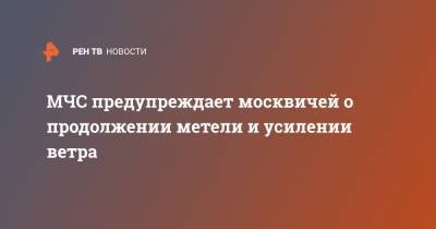 МЧС предупреждает москвичей о продолжении метели и усилении ветра - ren.tv - Москва