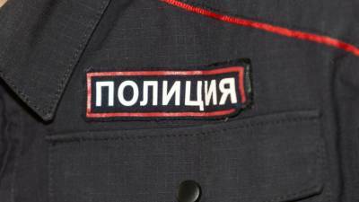 Полиция поймала стрелка из парка "Александрино" в Петербурге - polit.info - Петербурга - Петербург