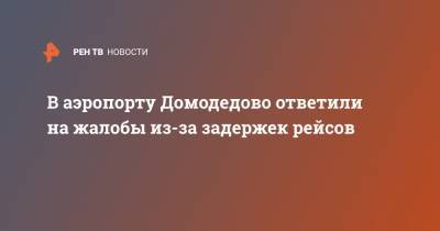 В аэропорту Домодедово ответили на жалобы из-за задержек рейсов - ren.tv