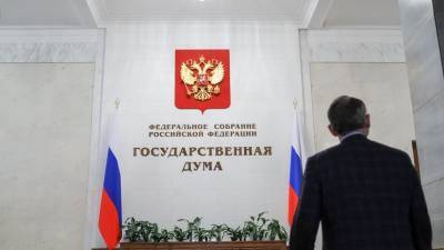 Дмитрий Новиков - Пекка Хаависто - В Госдуме оценили заявление Финляндии о сохранении диалога России и ЕС - russian.rt.com - Вашингтон - Финляндия - Хельсинки