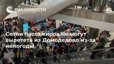 Александр Синенков - Сотни пассажиров не могут вылететь из Домодедово из-за непогоды - ria.ru - Москва - Сочи - Екатеринбург - Симферополь - Красноярск - Ульяновск - Калининград - Самара - Омск