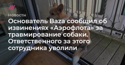 Никита Могутин - Основатель Baza сообщил об извинениях «Аэрофлота» за травмирование собаки. Ответственного за этого сотрудника уволили - tvrain.ru