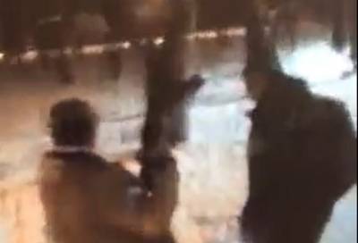 Полицейские поймали одного из хулиганов, стрелявших в парке «Александрино» - online47.ru - Ленинградская обл. - Санкт-Петербург