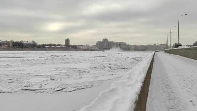 Спасатели вызволили чайку из ледяного плена на Свердловской набережной - piter.tv - Санкт-Петербург