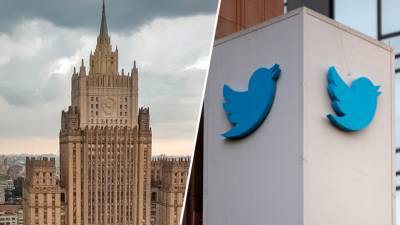 Константин Гаврилов - Без объяснения причин: Twitter на сутки заблокировал аккаунт российской делегации - russian.rt.com - Вена