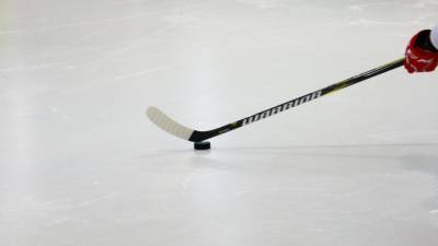 Владимир Бутузов - Данила Моисеев - Российская сборная по хоккею установила рекорд - mir24.tv - Швеция - Чехия