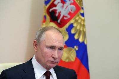 Владимир Путин - Алексей Навальный - Путин прокомментировал несанкционированные акции протеста - lenta.ru