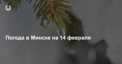 Погода в Минске на 14 февраля - news.tut.by - Минск