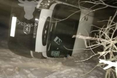 Очевидец ДТП с маршруткой из Могзона заявила о запахе перегара от пассажира около водителя - chita.ru - Чита