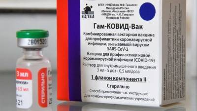 Владимир Путин - Во Франции заявили о геополитической победе России за счет вакцины «Спутник V» - 5-tv.ru - Россия