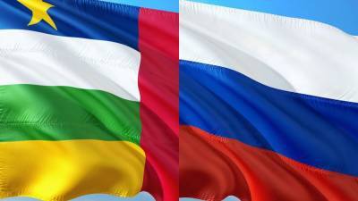 Владимир Титоренко - Митинг в поддержку России собрал на улицах Банги свыше 20 тысяч человек - polit.info - Россия - Банги - Руанда