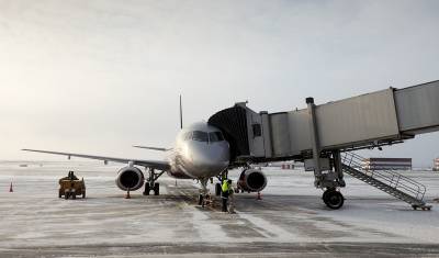 В аэропортах Москвы из-за непогоды задержано 85 рейсов и отменено семь - newizv.ru - Москва