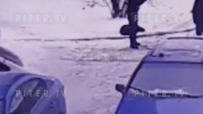 На Придорожной аллее мужчину ударили ножом - piter.tv - Ленинградская обл. - Санкт-Петербург - Азербайджан - Нападение
