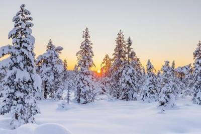 В Калужской области объявлено об аномально холодной погоде с 14 по 18 февраля - argumenti.ru - Калужская обл.