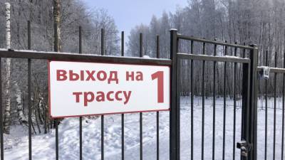 Погибший на «Лыжне России» 64-летний пензенец не был участником соревнований - riafan.ru - Пензенская обл. - Пенза